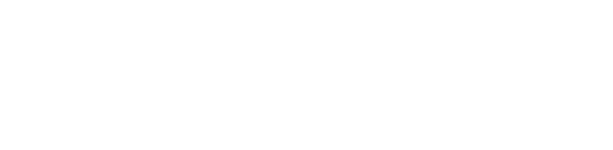 logo conectar 